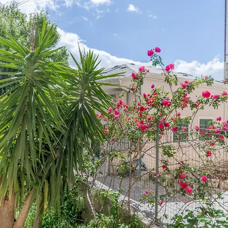 Lady Apartment Split